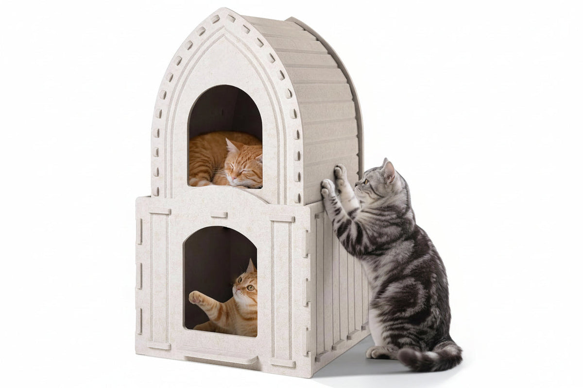 Multi-Function Detachable Cat House – Two-Storey Indoor Kitty Condo with Washable Cushioned Bed for Kittens and Multiple Small Pets