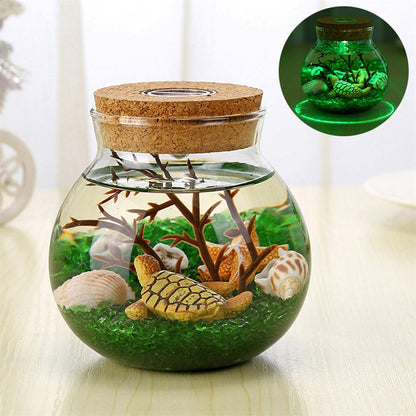 RGB Ecological Bottle Lamp – Luminous Micro-Landscape Night Light for Kids’ Bedrooms & Unique Christmas Gift Ideas