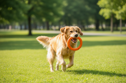 Floating Dog Ring Toy – Anti-Bite Flying Disc and Puller for Interactive Fetch, Training, Tugging and Aggressive Chewers