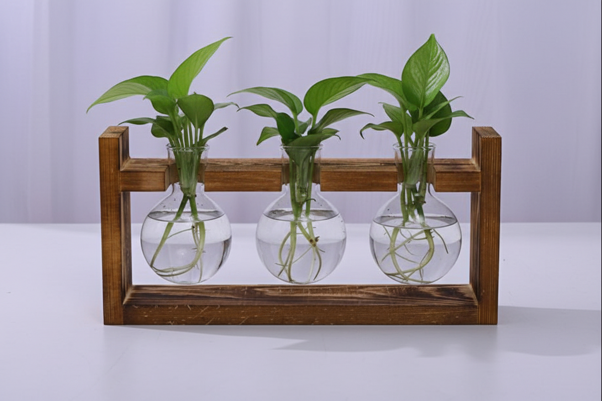 Glass Propagation Station – Tabletop Hydroponic Plant Vase with Wooden Tray for Home, Office and Elegant Botanical Display
