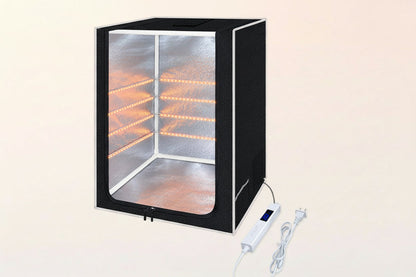 Reptile Terrarium – Secure Enclosure Habitat for Lizards, Geckos and Small Reptiles with Versatile Indoor Display and Care Setup