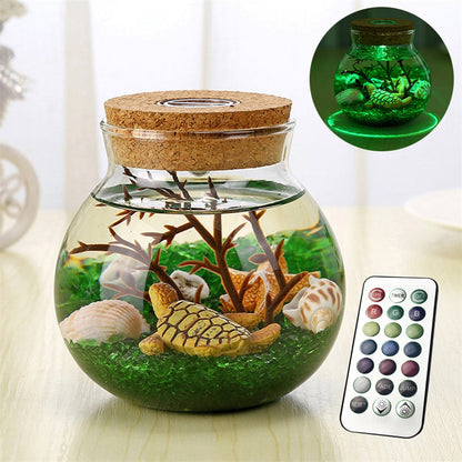 RGB Ecological Bottle Lamp – Luminous Micro-Landscape Night Light for Kids’ Bedrooms & Unique Christmas Gift Ideas