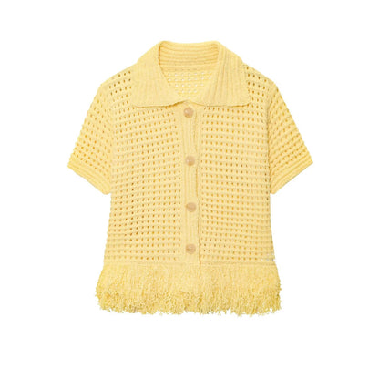 Knitted Tassel Two-Piece Set – Elegant Turndown Collar Top & Elastic Mini Skirt for Fall/Winter