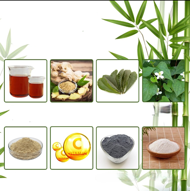 Detox Foot Pads - Natural Deep Cleansing Patches