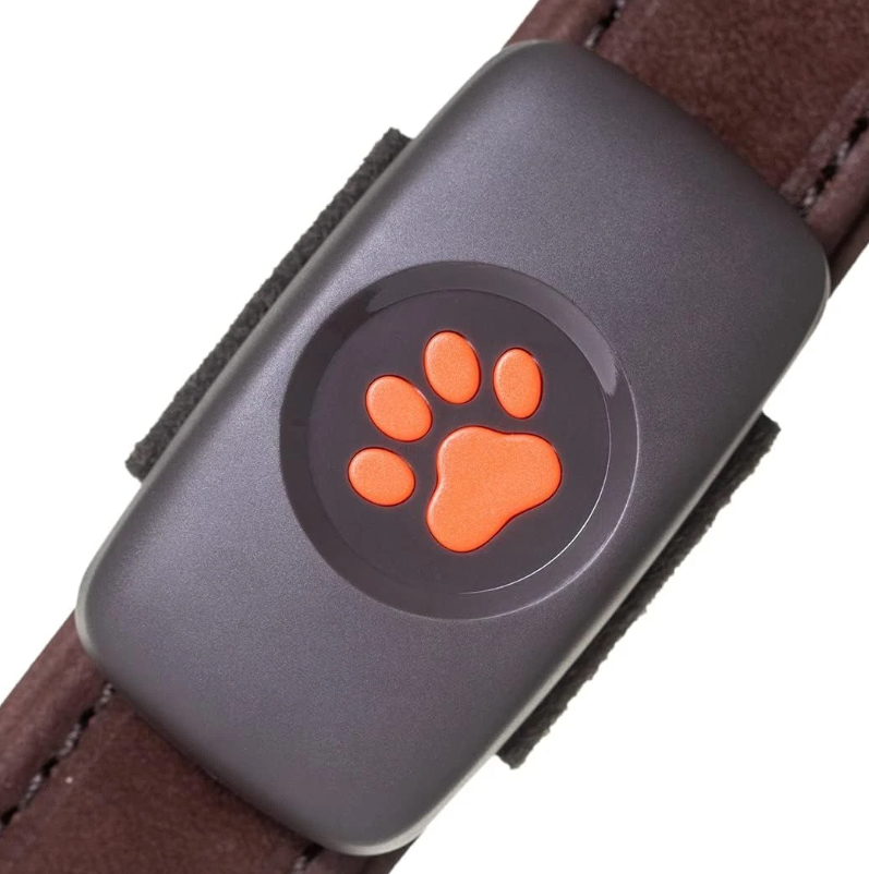 GPS Tracker for Dogs – Smart Collar-Compatible Satellite Tracking with Unlimited Range for Outdoor Monitoring & Pet Safety Anywhere