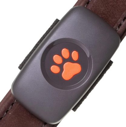 GPS Tracker for Dogs – Smart Collar-Compatible Satellite Tracking with Unlimited Range for Outdoor Monitoring & Pet Safety Anywhere