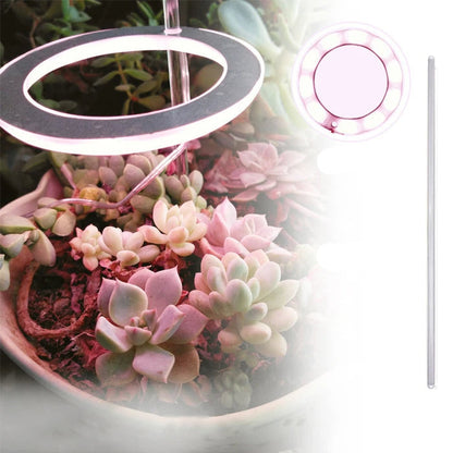 Angel Ring LED Grow Light - USB Full Spectrum Lamp for Indoor Plants & Seedlings
