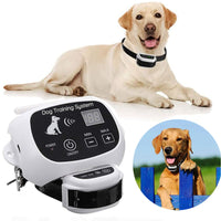 Wireless Dog Fence With Collar