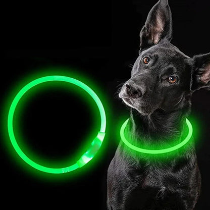LED Dog Collar – USB Rechargeable Luminous Pet Collar with Adjustable Glow for Safe Night Walks & Anti-Loss Protection
