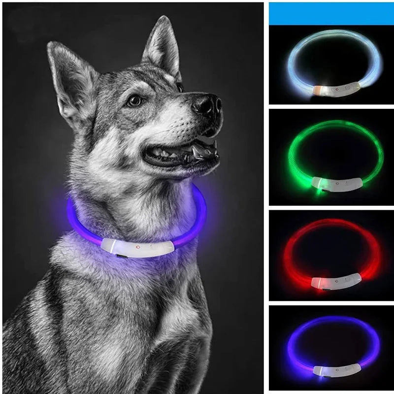 LED Dog Collar – USB Rechargeable Luminous Pet Collar with Adjustable Glow for Safe Night Walks & Anti-Loss Protection