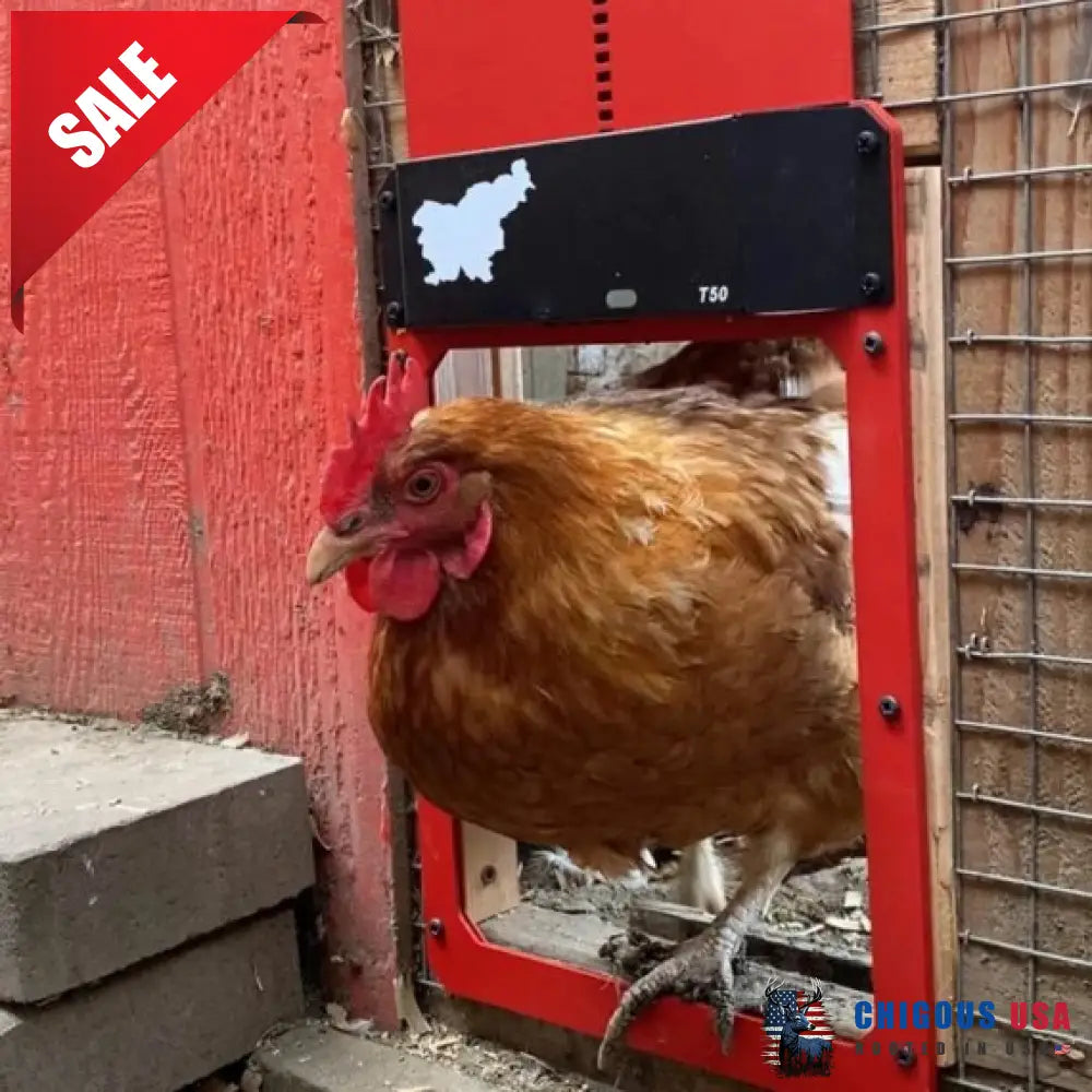 Automatic Chicken Coop Door