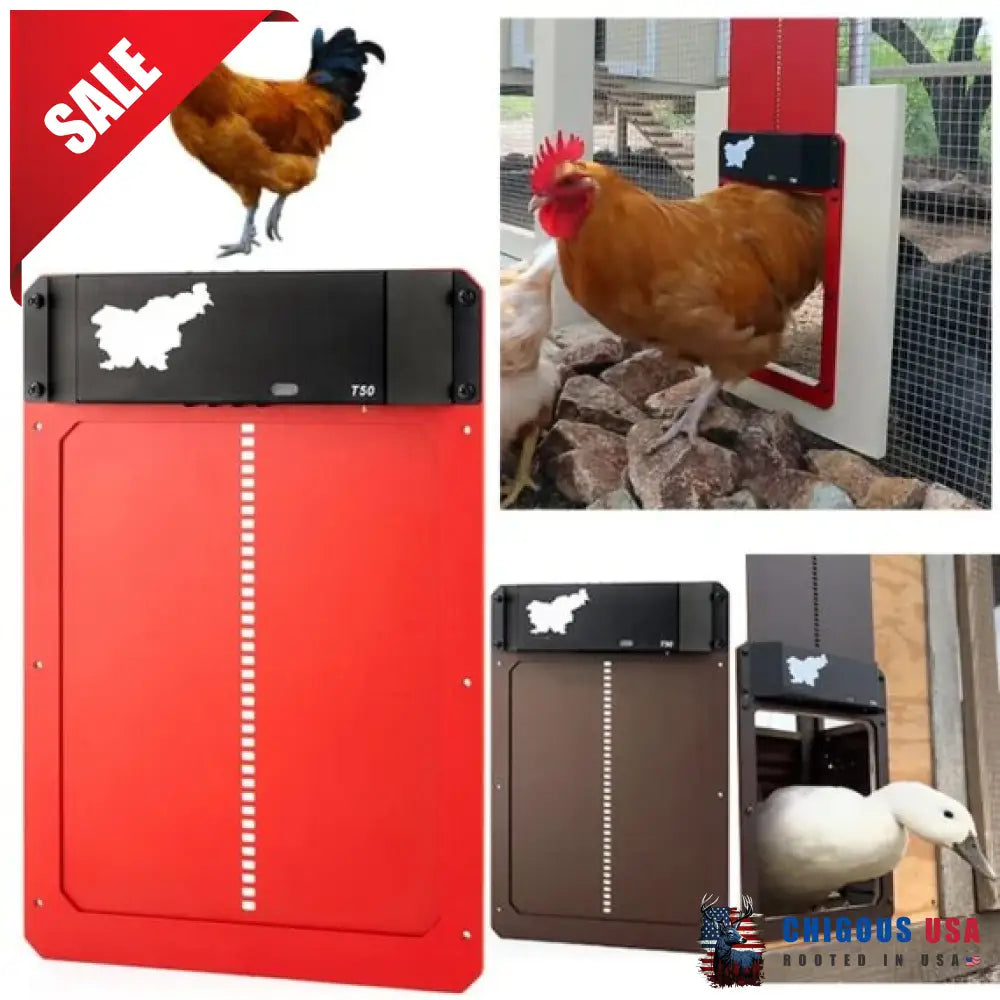 Automatic Chicken Coop Door