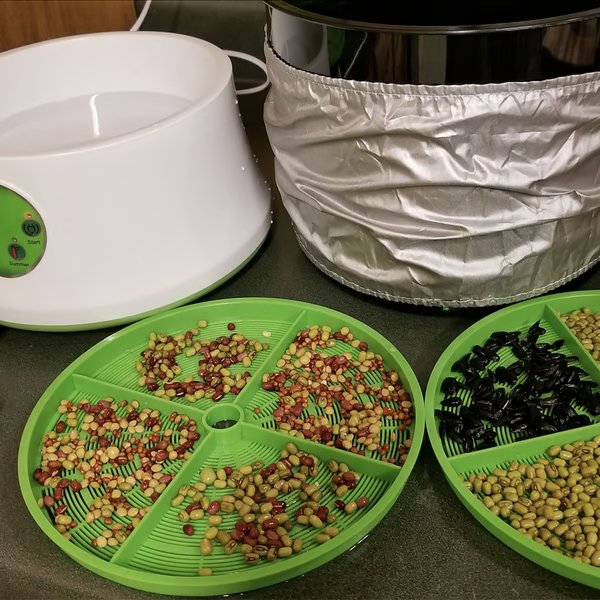 Automatic Sprouter Machine - Intelligent Automatic Bean Sprouts Maker