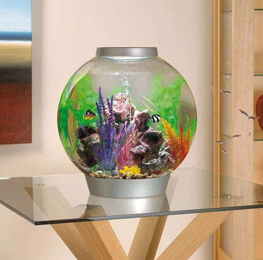 Baby BiOrb Acrylic Aquarium with LED lights – Crystal-Clear Beauty with White LED Lights & Advanced 5-Stage Filtration for a Pristine Underwater Display