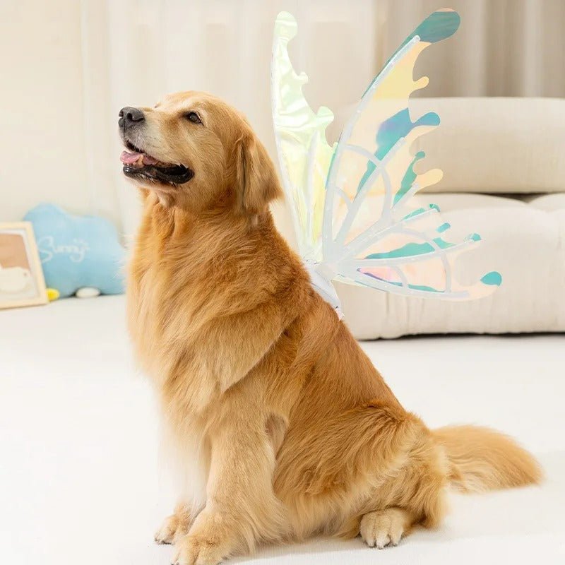 Butterfly Fairy Wings for Dogs - Enchanting Pet Accessory
