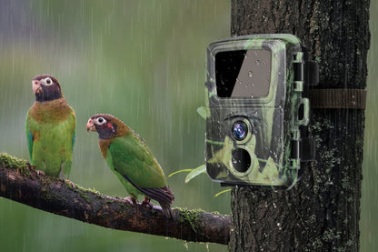 Trail Camera with Night Vision – 20MP Motion-Activated Wildlife Monitoring Camera with 0.8s Trigger and 1080P Video