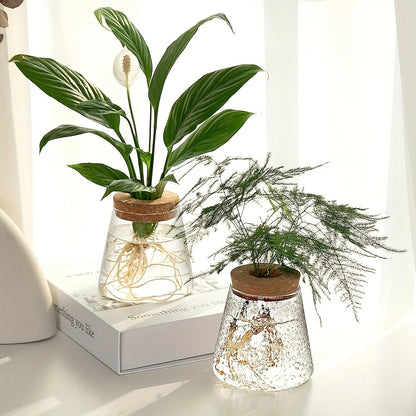 Nordic Glass Hydroponic Vase – Self-Watering Plant Planter with Tray for Modern Tabletop Décor, Ideal Home Gift for Plant Lovers