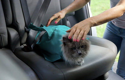 Buy One And Get One FREE:Aberfields Cat Carrier Pouch