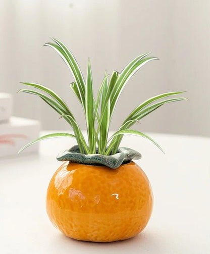 Ceramic Orange Hydroponic Tabletop Vase – Stylish Desktop Succulent & Flower Pot for Modern Home Décor