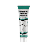 Ceramic Repair Paste Kit