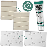 Ceramic Repair Paste Kit
