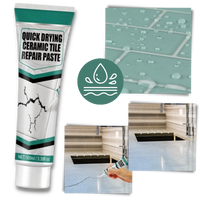 Ceramic Repair Paste Kit