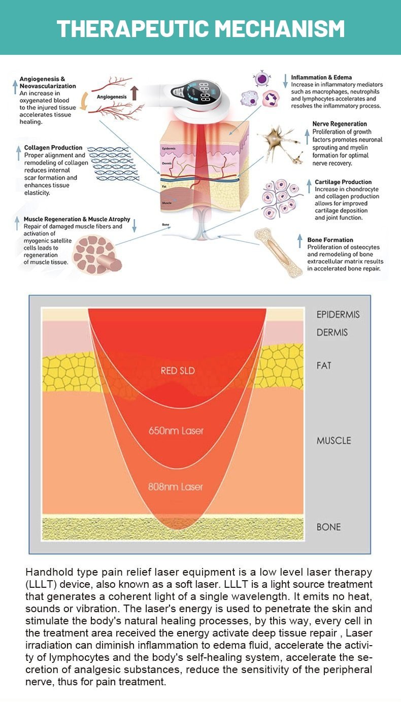 Cold Light Handheld Laser Therapy Device