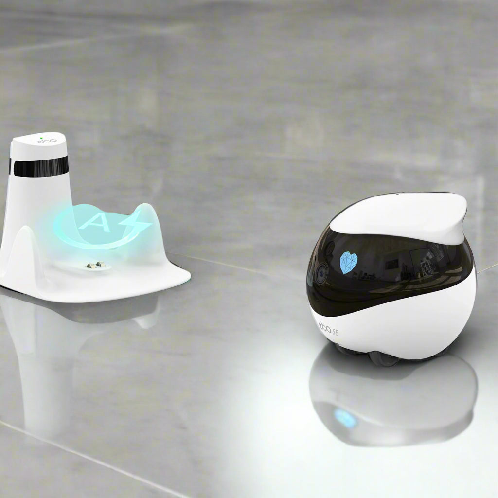 Companion Robot for Pets, Kids and Adult