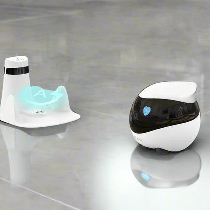Companion Robot for Pets, Kids and Adult