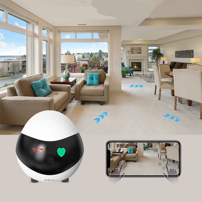 Companion Robot for Pets, Kids and Adult