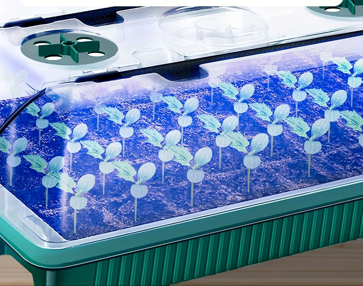 Seed Starter Trays with LED Grow Lights – 2 Trays, 40 Cells Each (80 Cells Total), High Dome Germination Kit for Winter Seedlings & Indoor Growing