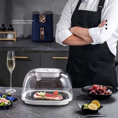 Defrosting Machine - Preservation And Defrosting Tray for Frozen Meat