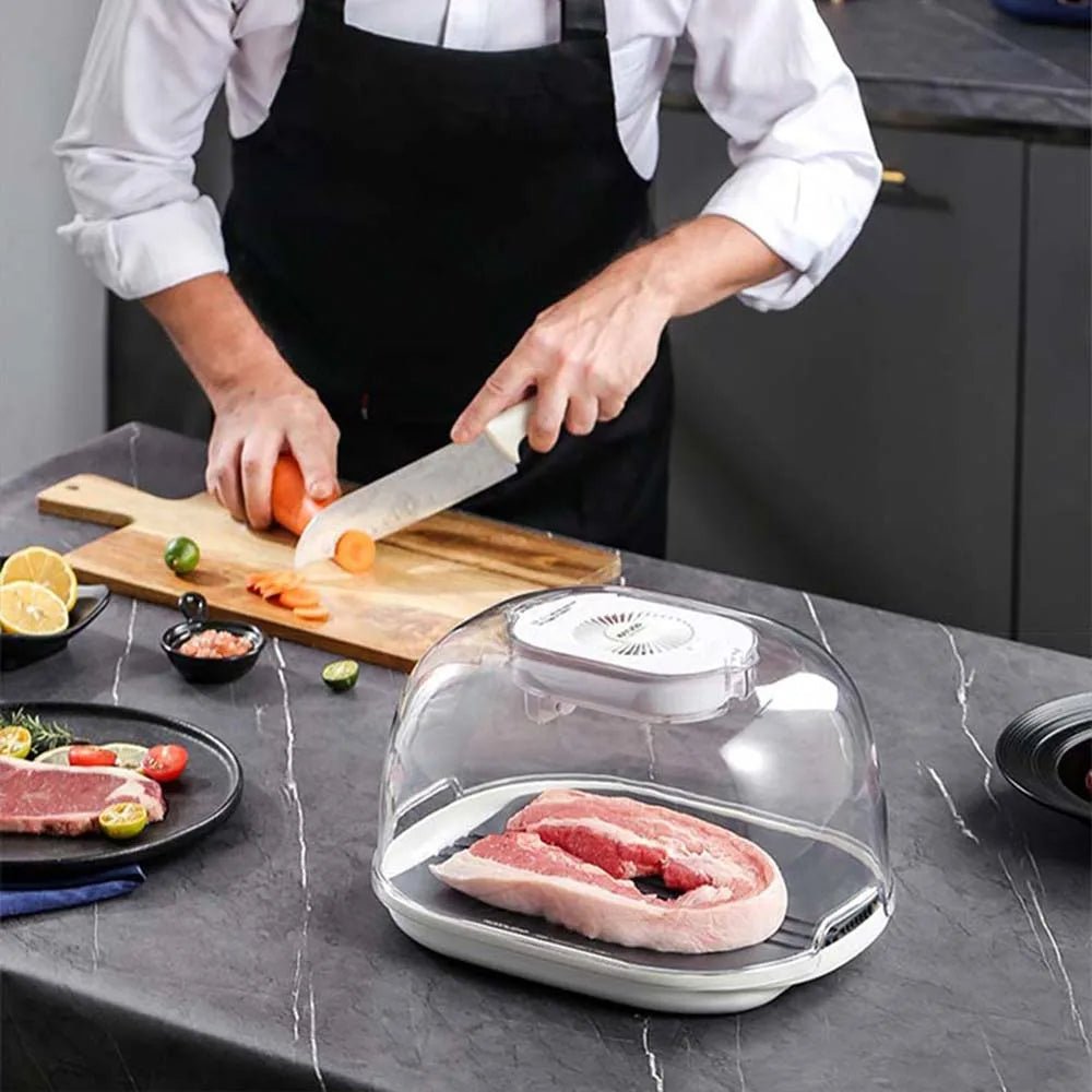 Defrosting Machine - Preservation And Defrosting Tray for Frozen Meat