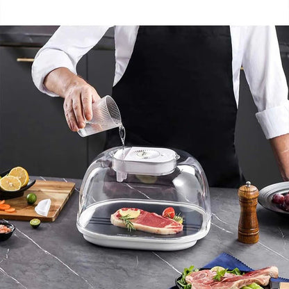 Defrosting Machine - Preservation And Defrosting Tray for Frozen Meat