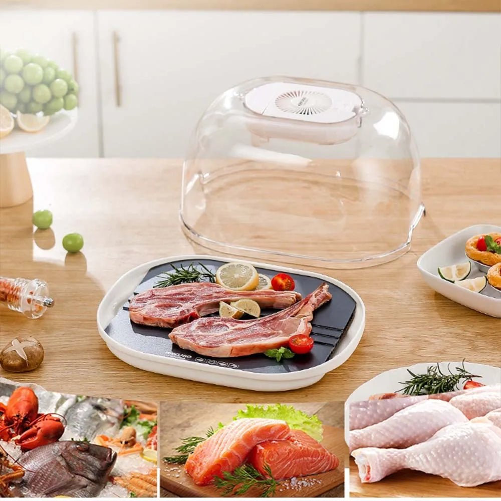 Defrosting Machine - Preservation And Defrosting Tray for Frozen Meat