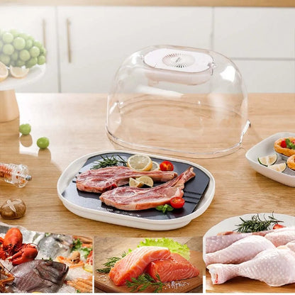Defrosting Machine - Preservation And Defrosting Tray for Frozen Meat