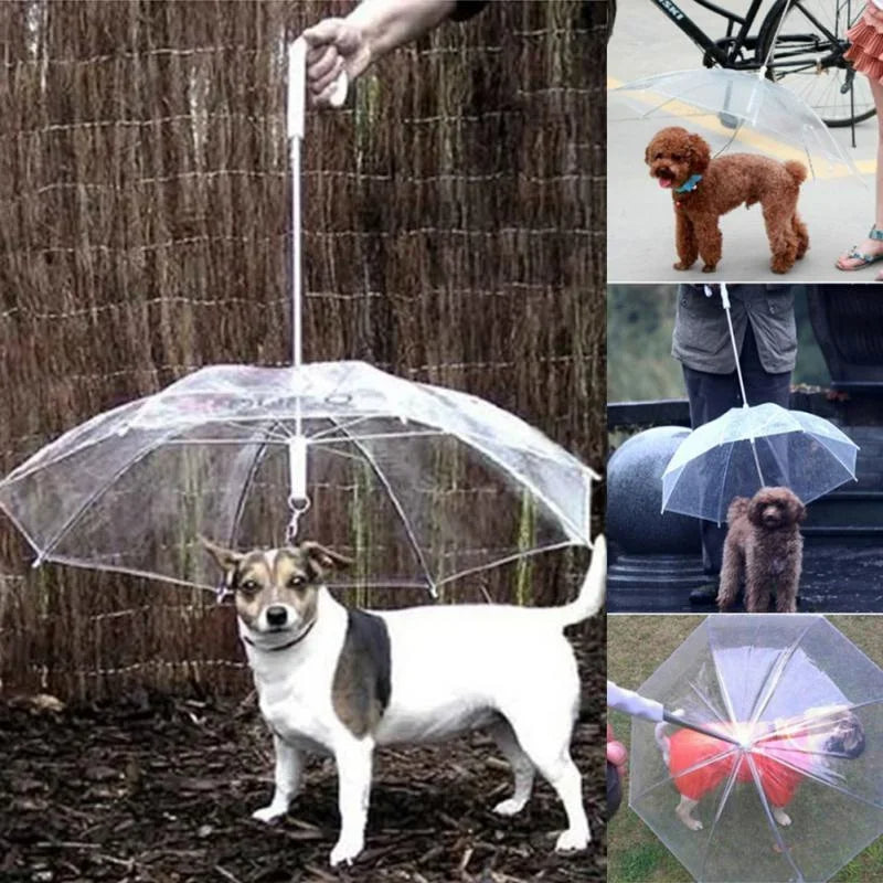 Dog Umbrella with Leash