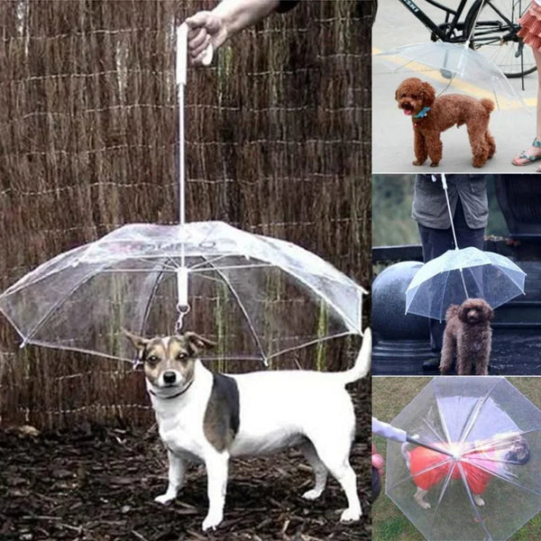 Dog Umbrella with Leash