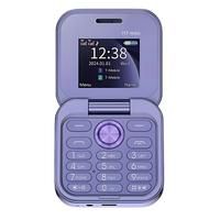 Dual Sim Small Folding Cell Phone
