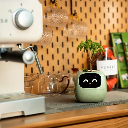 Ivy Smart Planter Robot – Interactive AI Plant Pot with Sensors, Emoticons and Personalized Lighting for Smart Indoor Plant Care