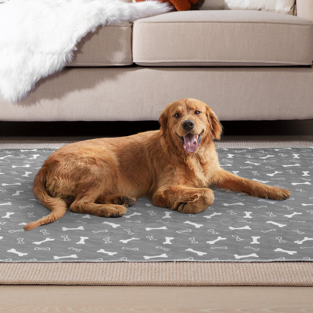 Reusable Washable Dog Pee Pads – Absorbent, Leak-Proof & Non-Slip Training Pads for Puppies and Adult Dogs