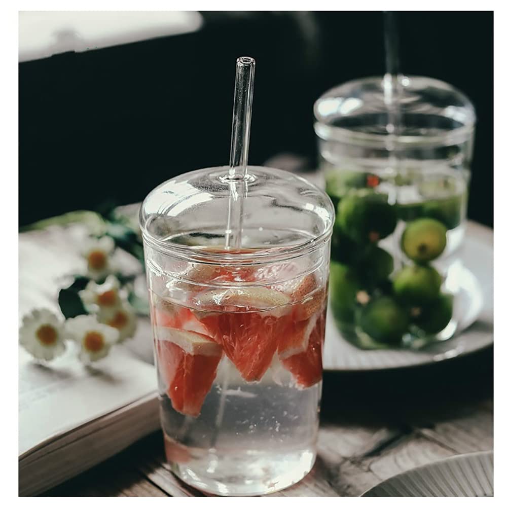 Glass Cup with Lid and Glass Straw – 15 oz Reusable Clear Tumbler for Iced Coffee & Cold Drinks