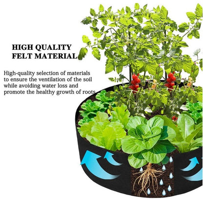 Raised Planting Bed for Gardening