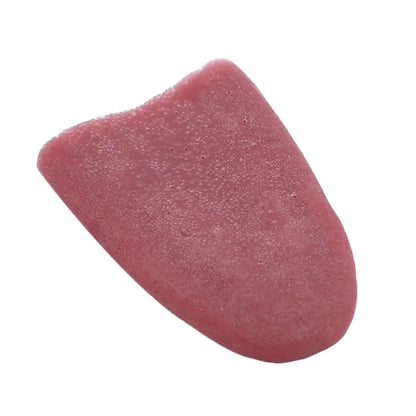 Fake Tongue Magic Trick Joke Prank - Halloween Harmless Realistic Rubber Tongue for Boys & Girls Carnival Halloween Party Decoration