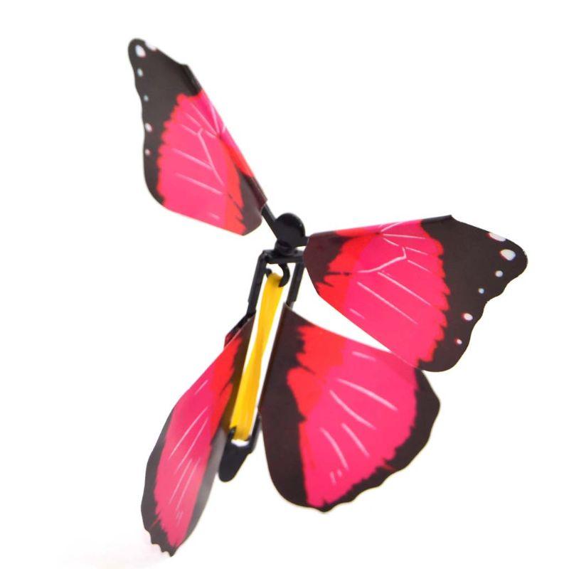 Flying Butterfly Card