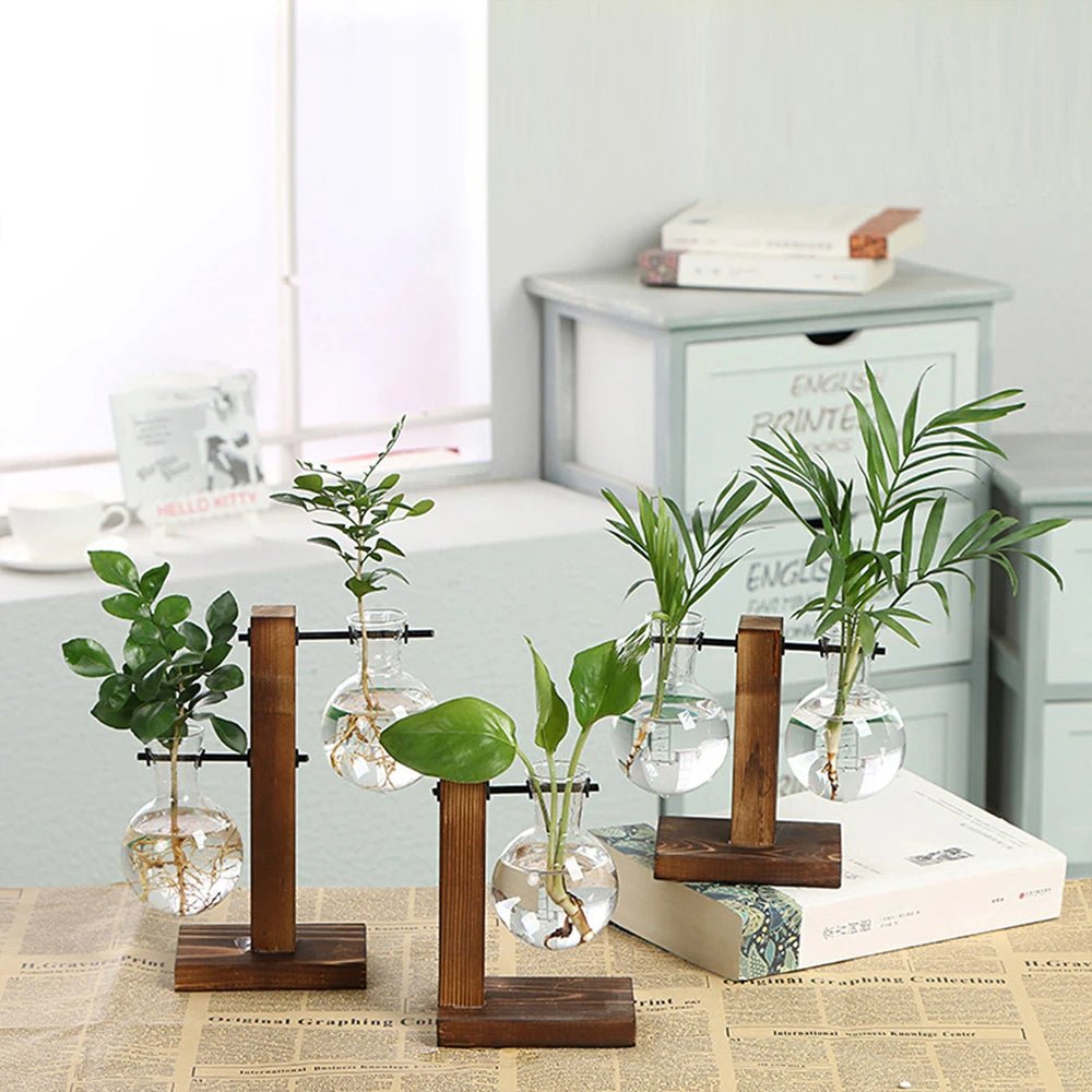 Glass Desktop Planter with Wooden Stand – Elegant Hydroponic Vase for Office or Living Room Plant Display