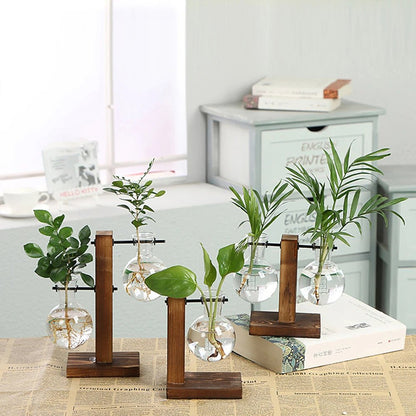 Glass Desktop Planter with Wooden Stand – Elegant Hydroponic Vase for Office or Living Room Plant Display