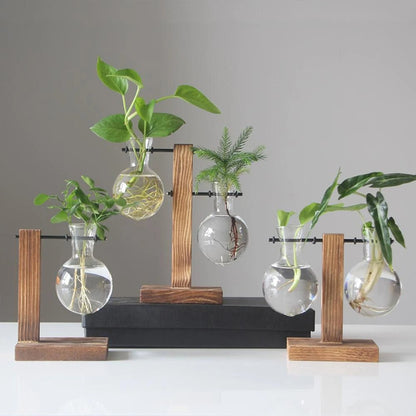 Glass Desktop Planter with Wooden Stand – Elegant Hydroponic Vase for Office or Living Room Plant Display