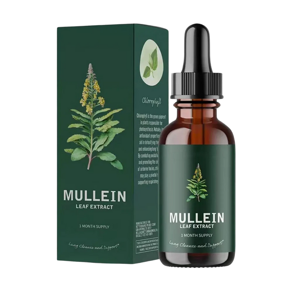 Gluten Free Mullein For Lung Health