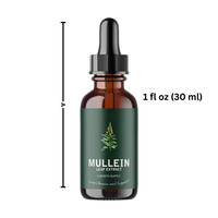 Gluten Free Mullein For Lung Health